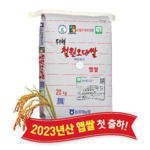[당일도정] 동철원농협 철원오대쌀 20kg, 2023년산