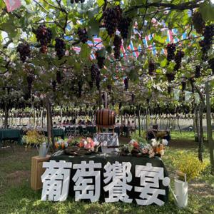 계절 제한 | 타이중 신펑 농장 과일 따기 체험 & 포도나무 애프터눈 티타임