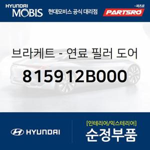 브라켓-연료 필러 도어 (815912B000) 싼타페,싼타페 더 스타일