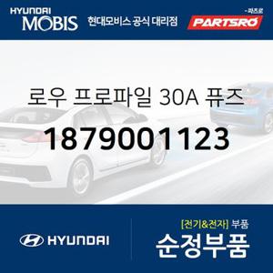 로우 프로파일 30A 퓨즈 (1879001123) 쏠라티,쏠라티 특장,제네시스 GV70,레이,더뉴 레이,쏘울,올뉴 쏘울,더뉴 쏘울,맥스크루즈,제네시스 쿠페,더뉴 제네시스 쿠페,올뉴 싼타페,싼타페 더 프라임,블루온,레이 전기차 EV,그랜저HG 하이브리드,더뉴 K7,제네시스 G70,더뉴 제네시스 G70,YF쏘나타,YF쏘나타 하이브리드,벨로스터,디올뉴 투싼NX4,쏘렌토 하이브리드,모하비 더마스터,포터2,포터2 일렉트릭,포터2 특장,올뉴 프라이드..