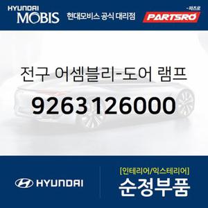 전구-도어 램프,좌측 (9263126000) 싼타페,EF쏘나타,포터2,포터2 특장