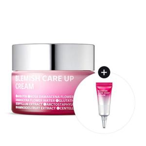 [25%][아이소이]블레미쉬 케어 업 크림(잡티크림)55ml+딥세럼5ml