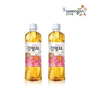 웅진 결명자 500mL 20펫