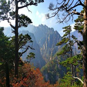 설악산 국립공원 당일 여행 | 서울에서 당일치기 여행 | 대한민국