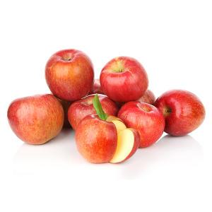 유명산지 23년 햇 부사 사과 가정용 2.5~ 9kg 모음