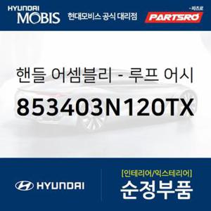 실내 천장 손잡이 (루프 어시스트 핸들) 뒷좌석,운전석쪽 (853403N120TX)  뉴 에쿠스 현대모비스 부품몰