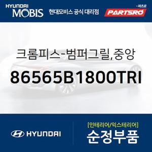 크롬피스-범퍼그릴,중앙 (86565B1800TRI) 제네시스 G80 현대모비스 부품몰