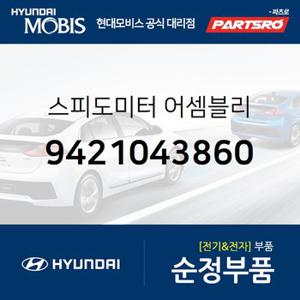 스피드미터  (9421043860) 그레이스,포터