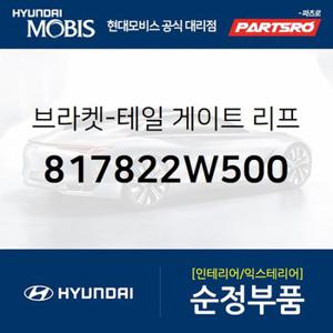 브라켓-테일 게이트 리프터,우측 (817822W500) 올뉴 싼타페,싼타페 더 프라임