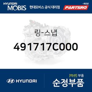 링-스냅 (491717C000) 뉴 파워트럭 6X2,뉴 파워트럭 6X4,뉴 파워트럭 8X4/10X4