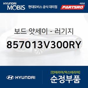 보드-러기지 (857013V300RY) 그랜저HG 현대모비스 부품몰