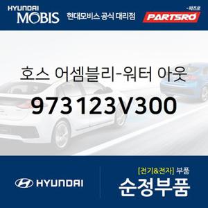 호스-워터 아웃렛 (973123V300) 그랜저HG 현대모비스 부품몰