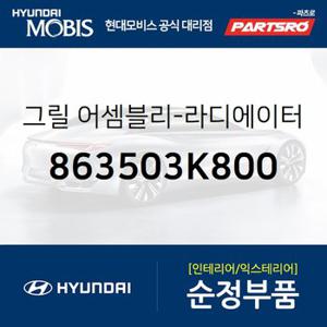 그릴-라디에이터,하부 (863503K800) NF쏘나타 현대모비스 부품몰