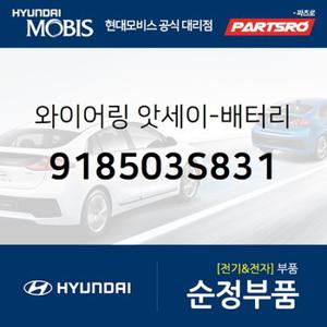 와이어링-배터리 (918503S831) YF쏘나타 현대모비스 부품몰