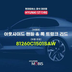 현대모비스아웃사이드 핸들 & 록 트렁크 리드 (81260C1501SAW)