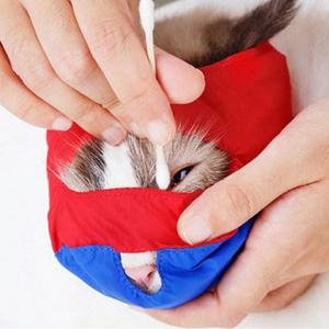 고양이머즐 실용적인 입마개 캣마스크 목욕 여행 입커버 애완묘