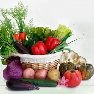 야채 채소 모형 미니어쳐 유아 소꿉놀이 음식 세트