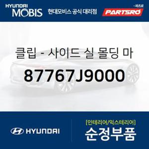 클립-사이드 실 몰딩 마운팅 (87767J9000)  제네시스 GV70, 코나 하이브리드, 코나N, 제네시스 GV80, 코나 전기차, 더뉴 코나, 더뉴 코나 하이브리드