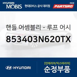 실내 천장 손잡이 (루프 어시스트 핸들) 뒷좌석,운전석쪽 (853403N620TX)  뉴 에쿠스 현대모비스 부품몰