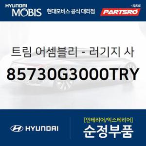 I30 러기지 사이드 트림,좌측 (85730G3000TRY) i30 현대모비스 부품몰