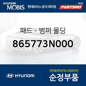 패드-범퍼 몰딩 (865773N000) 뉴 에쿠스 현대모비스 부품몰