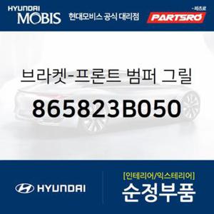 브라켓-프론트 범퍼 그릴,우측 (865823B050)  에쿠스, 뉴 에쿠스