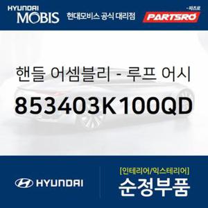 실내 천장 손잡이 (루프 어시스트 핸들) 뒷좌석,운전석쪽 (853403K100QD) 쏘나타NF 현대모비스부품몰