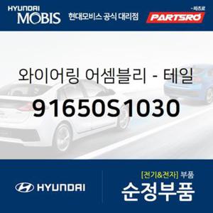 와이어링-테일 게이트 (91650S1030)  올뉴 싼타페 현대모비스 부품몰