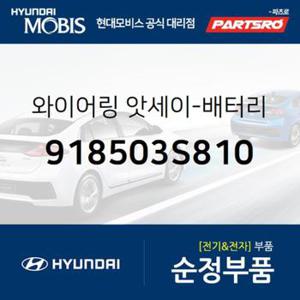 와이어링-배터리 (918503S810)  YF쏘나타