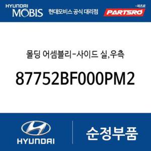 사이드 실 몰딩(사이드스커트),우측 (87752BF000PM2) 디 올 뉴 코나 일렉트릭