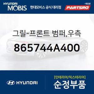 프론트 범퍼 그릴,우측 (865744A400)  스타렉스, 스타렉스 특장