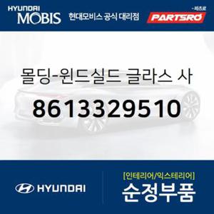 윈드실드 글라스(앞유리) 사이드 몰딩,좌측 (8613329510)  아반떼 현대모비스 부품몰