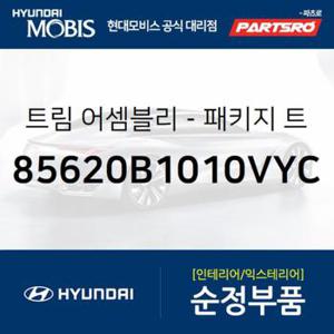 트렁크 선반 트립 프론트 (85620B1010VYC)  제네시스, 제네시스 G80