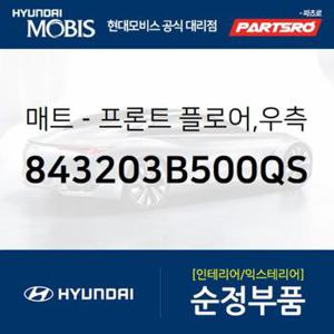 순정 카매트(조수석) (843203B500QS)  에쿠스 현대모비스 부품몰