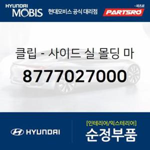 클립-사이드 실 몰딩 마운팅 (8777027000)  티뷰론, 아반떼XD