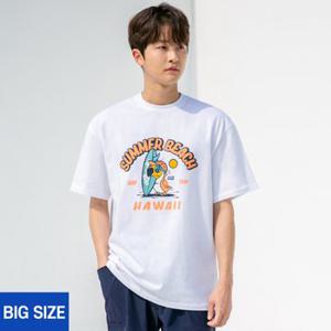 앨빈클로 XL~4XL 빅사이즈 썸머 투칸 오버핏 반팔티 BE53951 (4 COLOR)