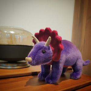 SOKOOB Tillandsia purple Triceratops   틸란지아퍼플 트리케라톱스