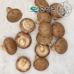 갤러리아_[공룡나라]고성 웅이표고농장 생표고버섯(생표고/하품1kg)
