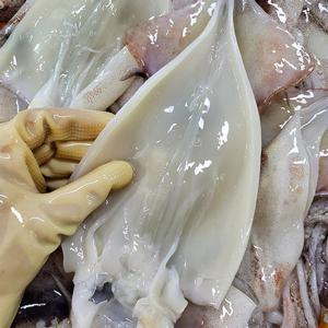 [자연맛남] 국내산 영덕 손질오징어 파지 1kg(6-11마리)