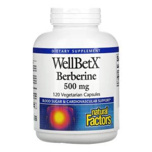 내추럴팩터스 WellBetX 베르베린 500mg 120캡슐 식물성 알칼로이드 SIBO