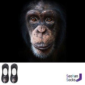 침팬지가 프린트된 특이한 양말 1족