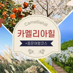 [제주] 카멜리아힐+중문여행코스