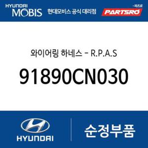 와이어링 하네스-R.P.A.S (91890CN030) 포터2 일렉트릭