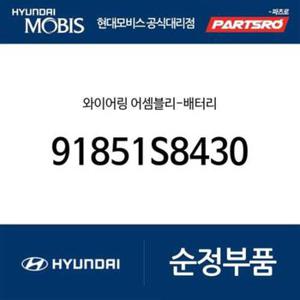 와이어링-배터리 (91851S8430) 더 뉴 팰리세이드