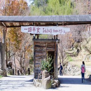 신주 | 시마쿠스 거대나무 숲 2일 하이킹 | 타이페이 & 신주 & 허싱 출발 | 부족 내 스위트룸 숙박 보장