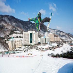 한국 겨울 스키 체험 전세 차량 | 지산 포레스트 스키장 | 대명스키장, 홍천, 한국 | 강원도 엘리시안 강촌 스키장 | 평창 알펜시아 스키장