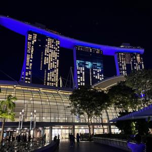 싱가포르 야경 하이라이트 투어 (리버크루즈 + 슈퍼트리 랩소디쇼 + 스펙트라 분수쇼)