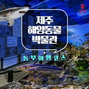 [제주] 제주해양동물박물관+동부여행코스
