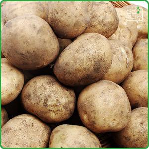 [신선연구소] 다농이네 포슬포슬한 햇 감자 5kg(왕특)