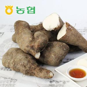 [북안동농협] 안동 산마(못난이) 5kg